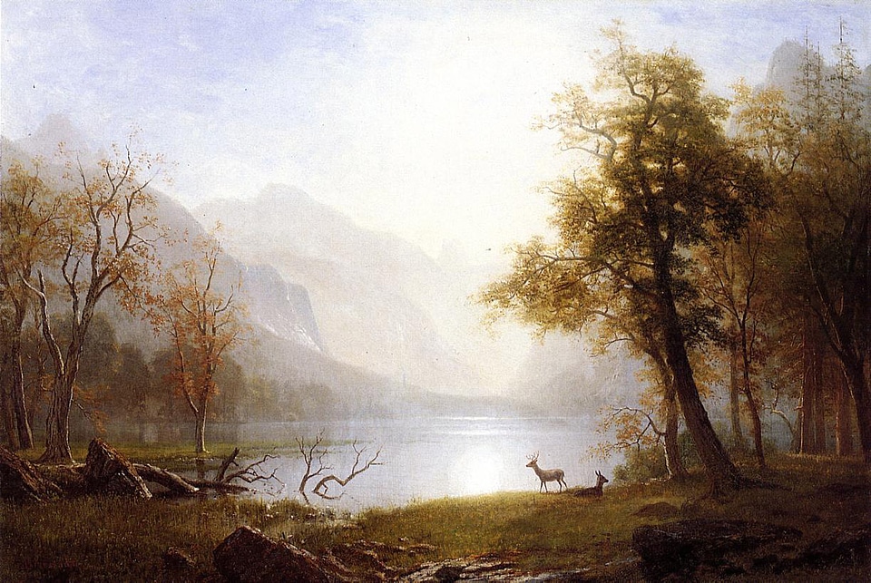Valley in Kings Canyon, California