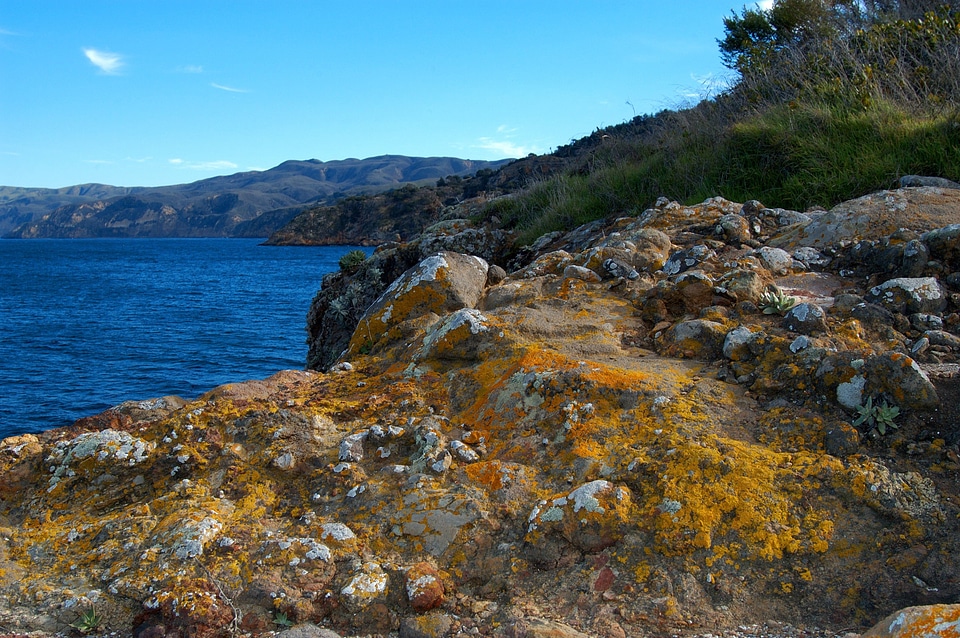Shoreline and Landscape of Santa Cruz Island in Channel Islands National Park, California