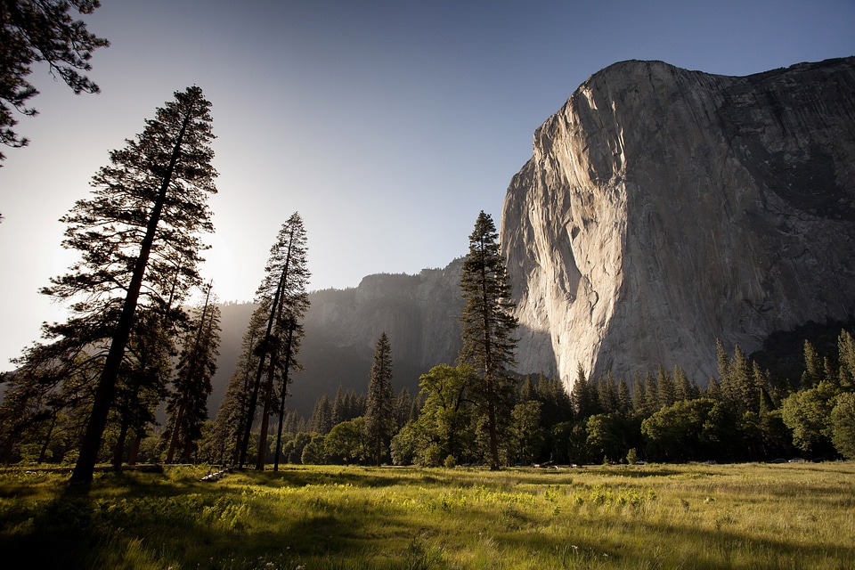Landscape, cliff, and trees and Yosemite National Park, California photo