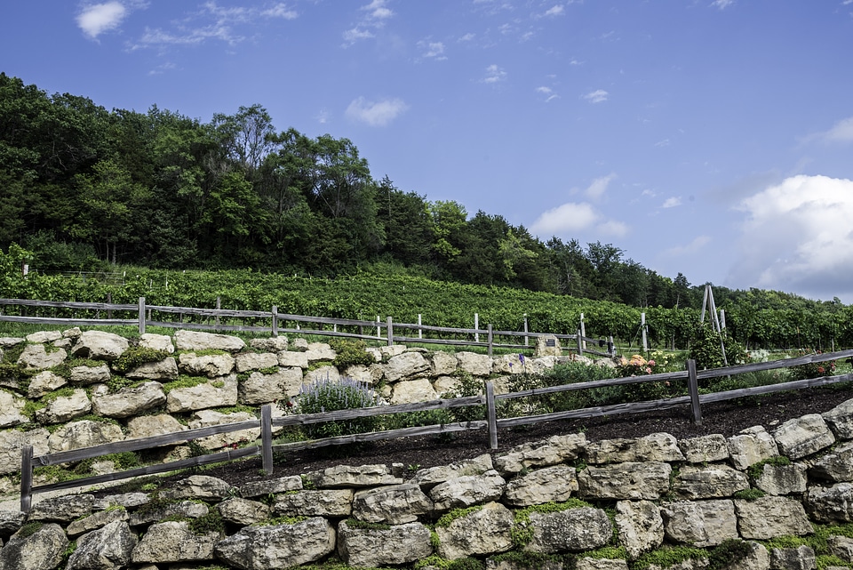 Hills of Wollersheim Winery in Wisconsin