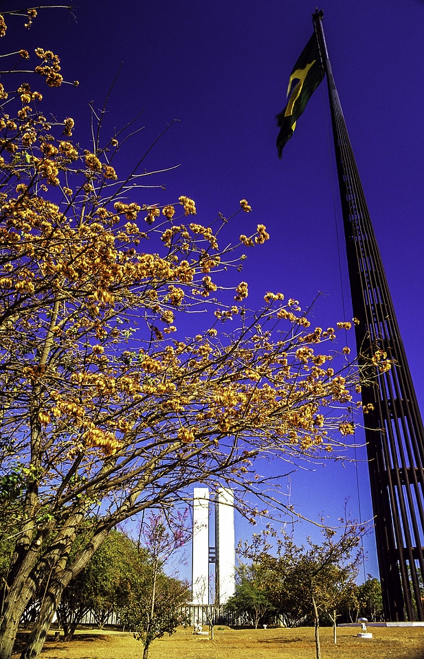 Brazilian Flag and the National Congress in spring in Brasilia, Brazil