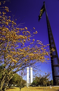 Brazilian Flag and the National Congress in spring in Brasilia, Brazil