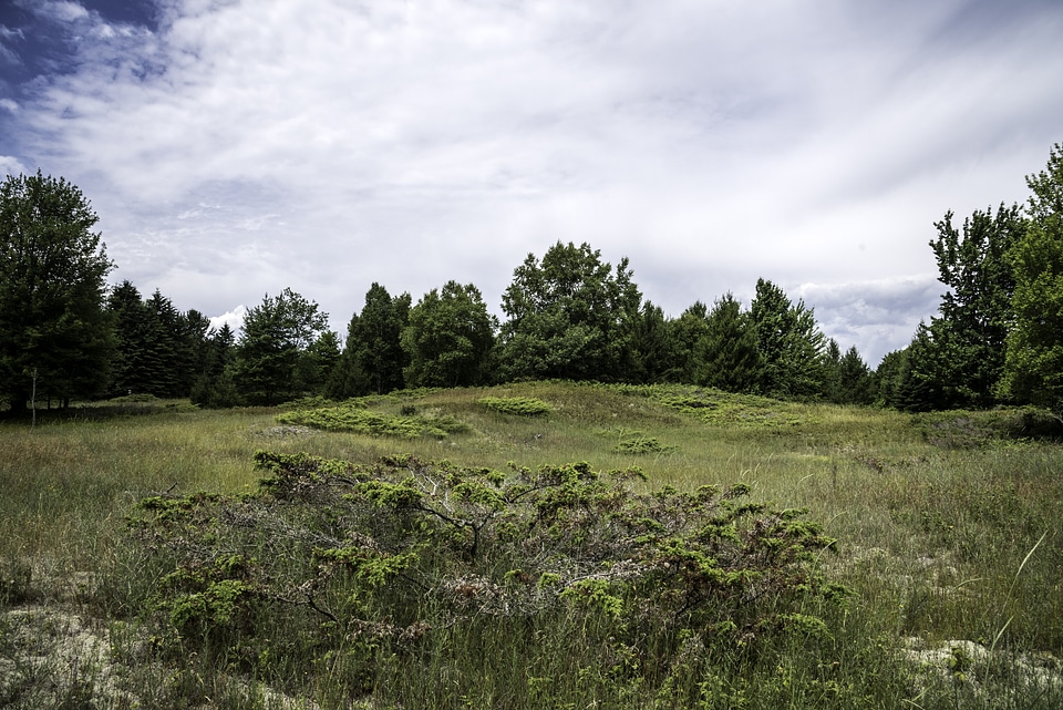Sand dunes, trees, and landscape at Whitefish Dunes State Park, Wisconsin