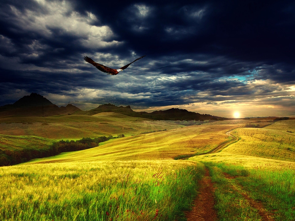 Eagle flying over the landscape with clouds above