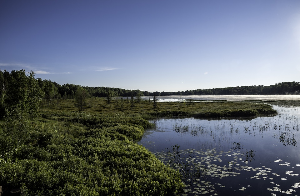 Lake and wetland area in Chequamegon National Forest, Wisconsin