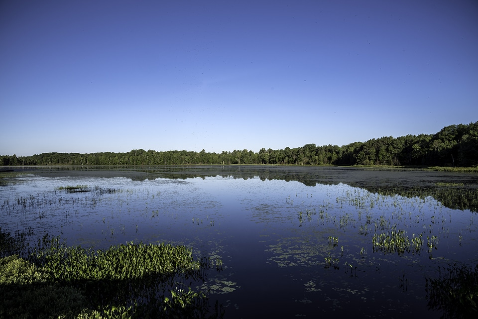 Small lake landscape in Chequamegon National Forest, Wisconsin