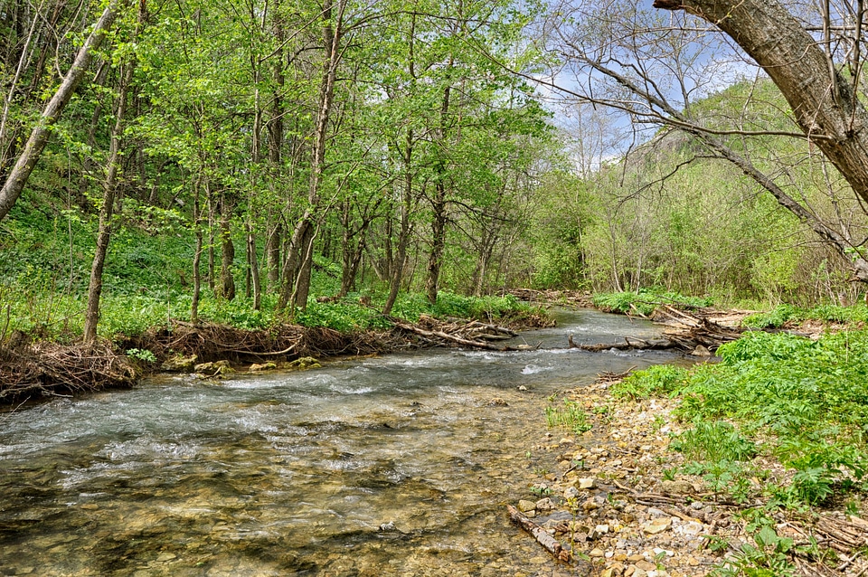 Stream river water photo