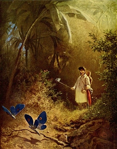 The Butterfly Hunter Art