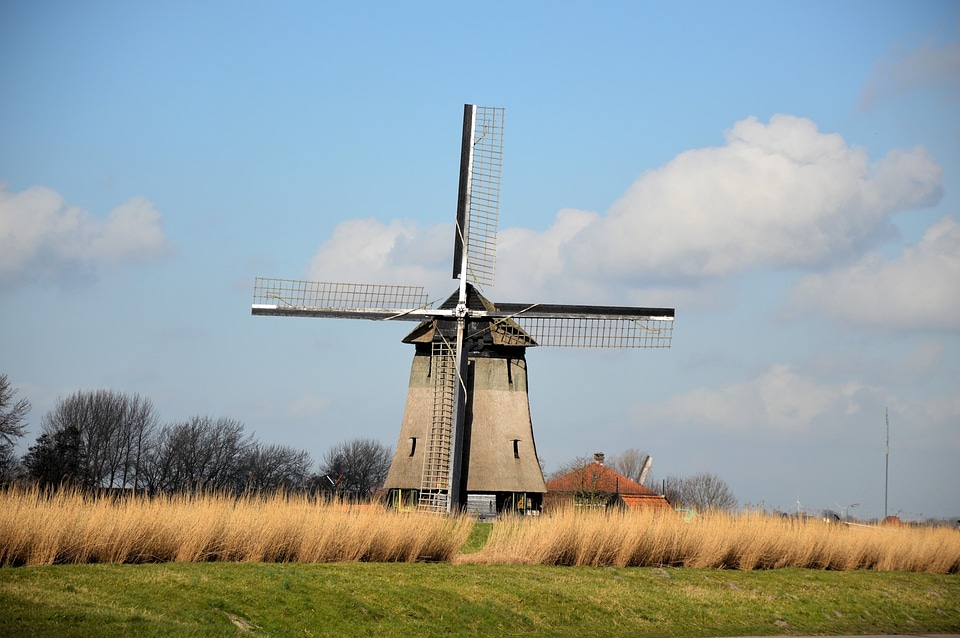 Dutch netherlands landscape