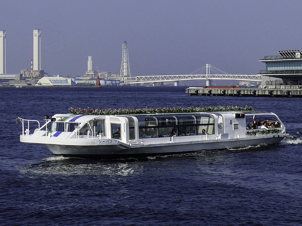Seabass transport in Yokohama, Japan