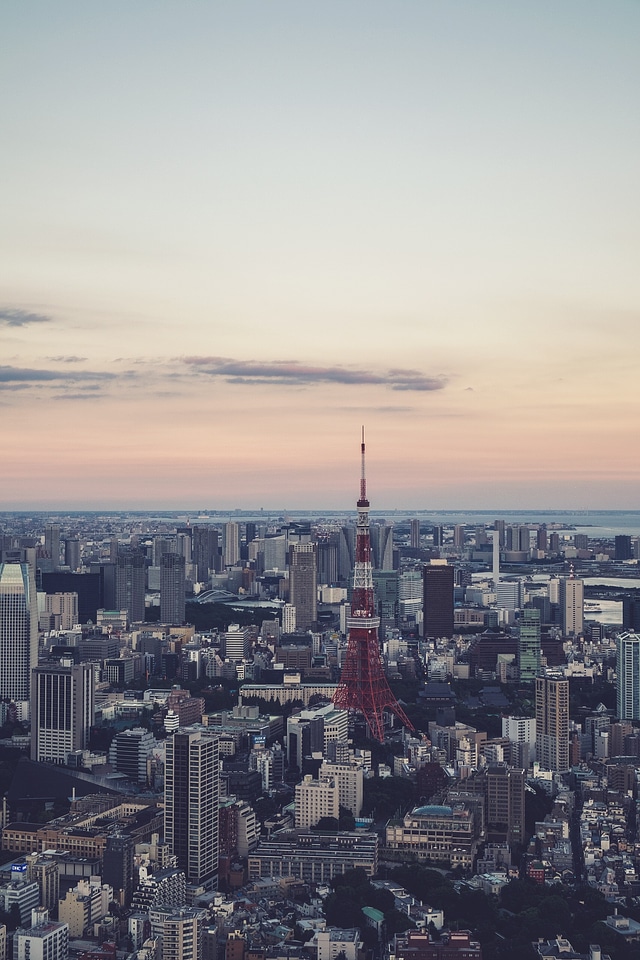 Skyline and City View of Tokyo photo