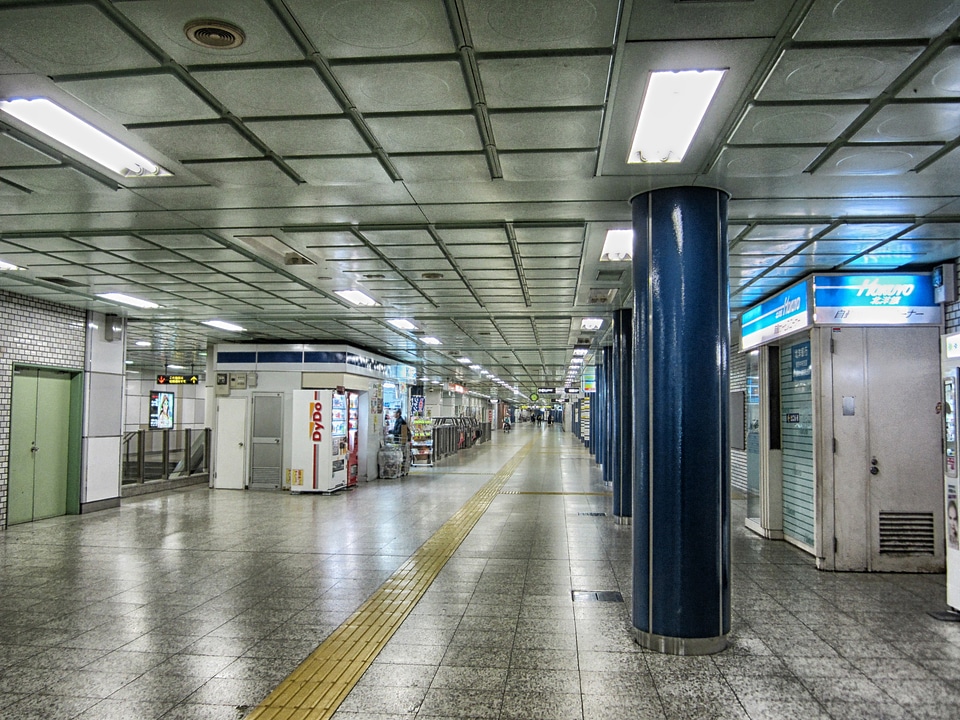 Mass transit train depot
