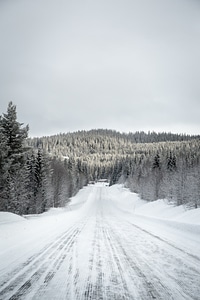 Winter landscape in Gäddede, Sweden photo