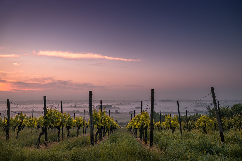 Farm and Landscape in Dienham, Germany