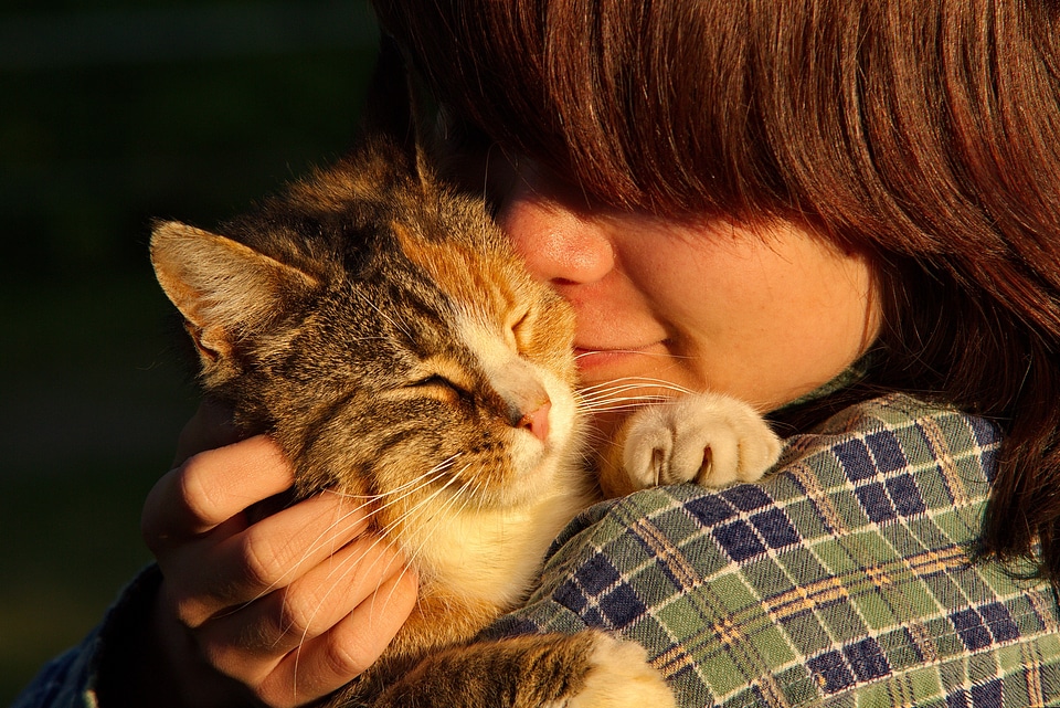 Person animals cats