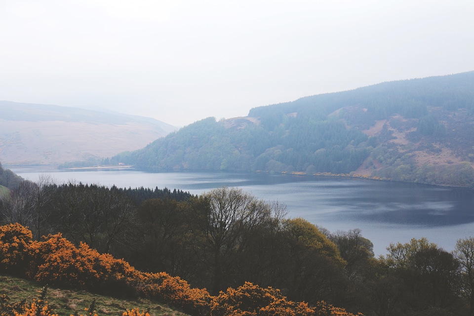Beauty of Lough Dan, Ireland