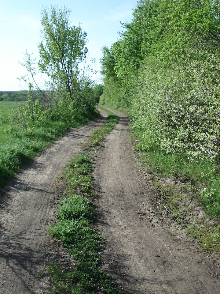 Country rural field road