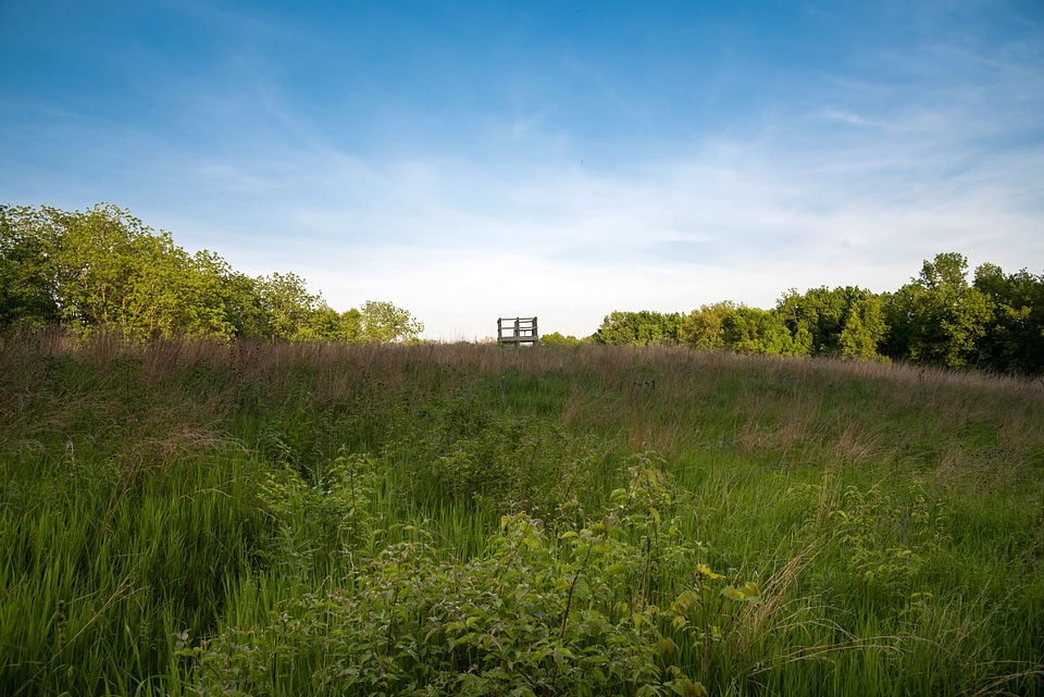 Looking at the watchtower