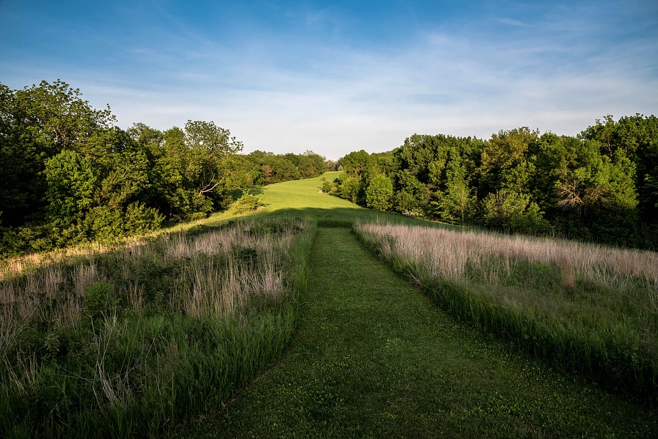 Landscape on the Prairie View Trail