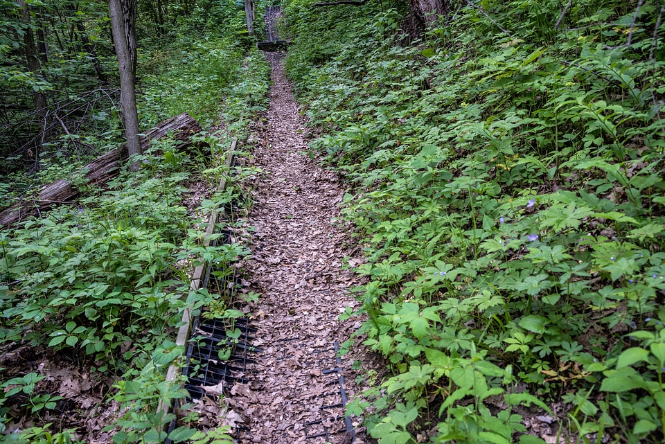 On the south trail system