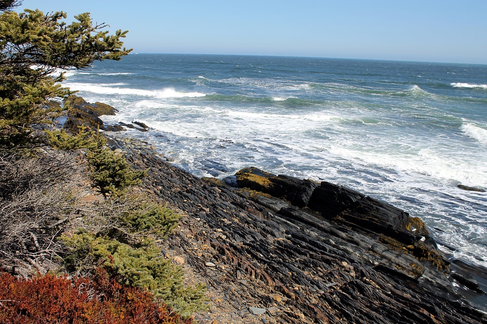 Gaff Point Trail by the ocean