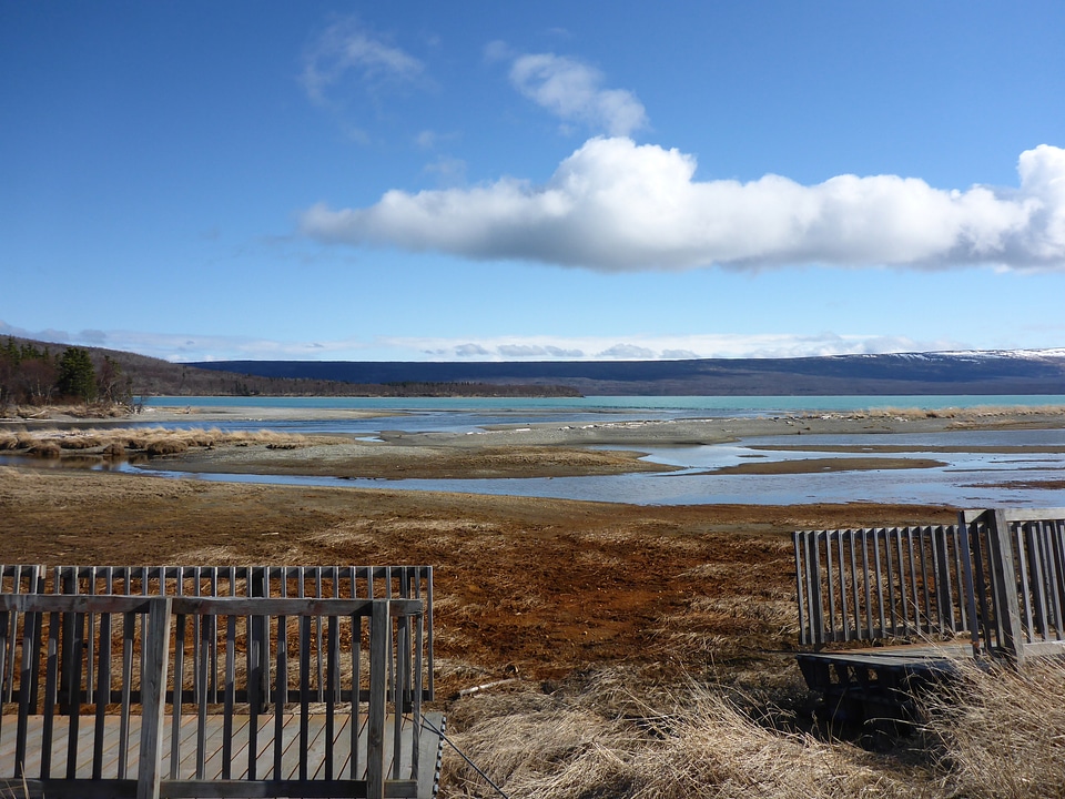 Mouth of Brooks River Landscape at Katmai National Park