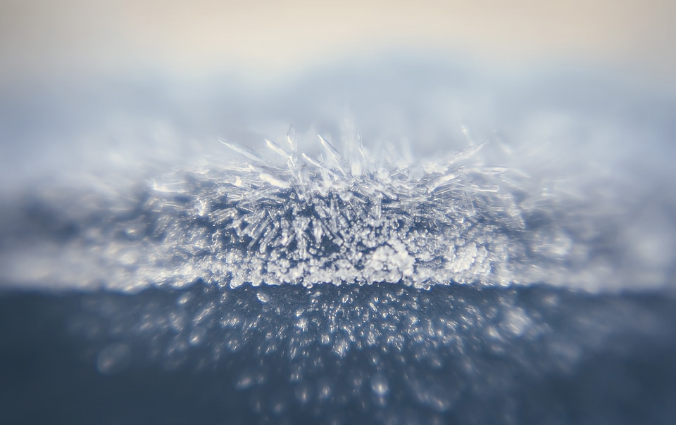 Frost Crystals forming