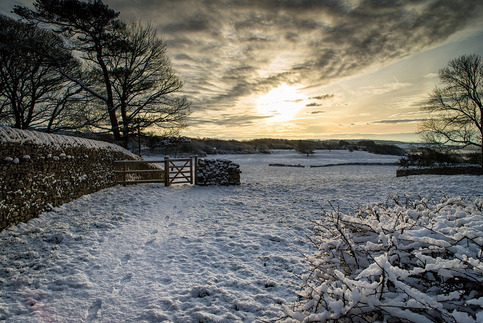 Sunset in the winter with snow on the ground