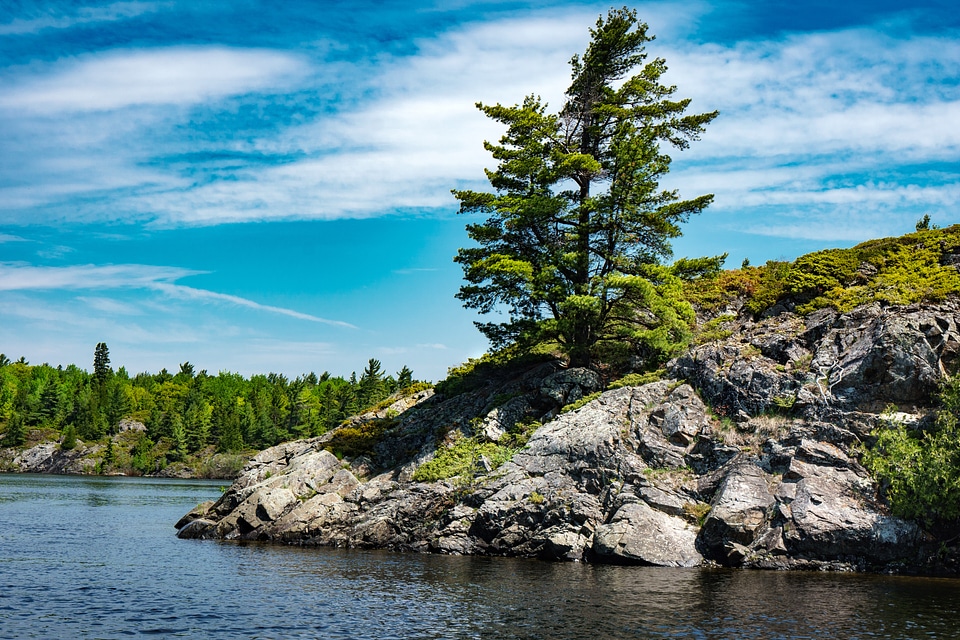 Landscape of the shore with rocks and tree