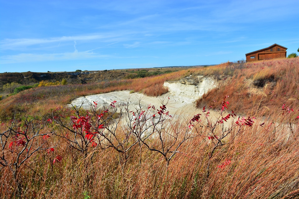 Dunes, Grass, landscape, and house