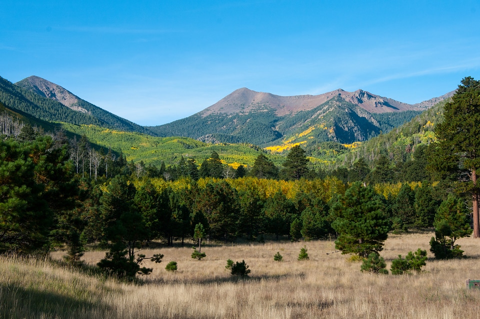 Landscape of Lockett meadow from the campground