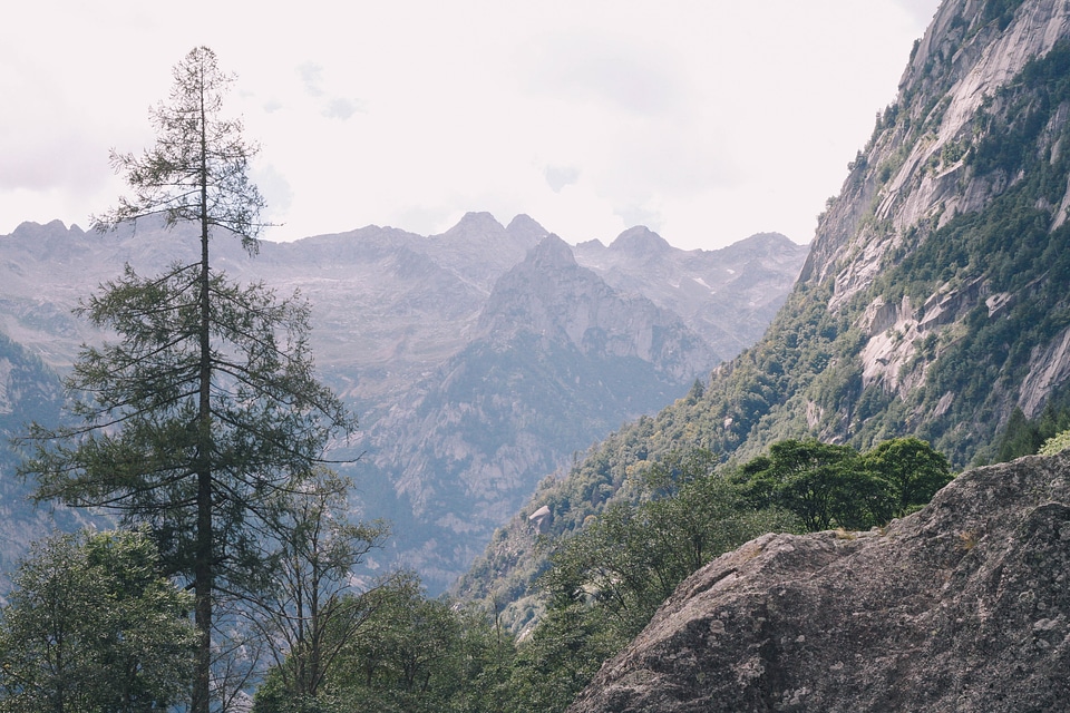 Mountain Landscape with trees
