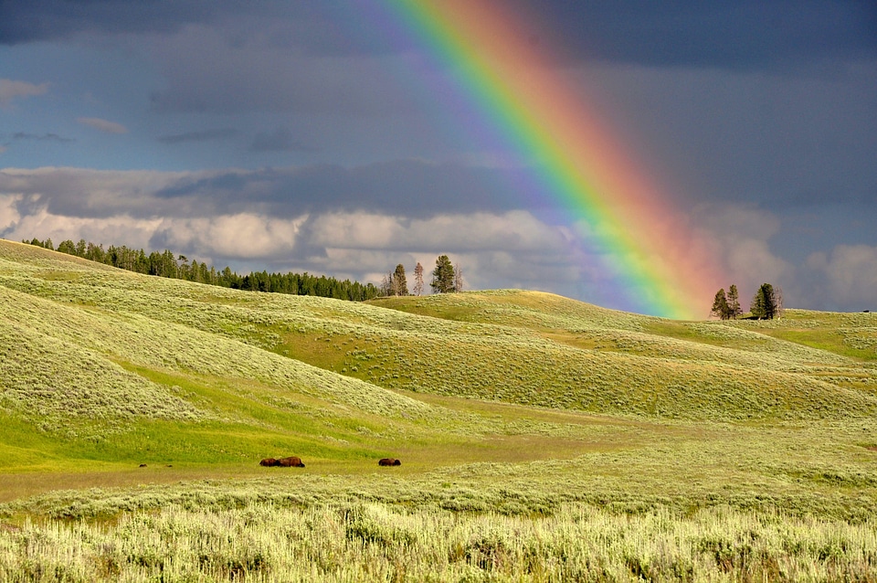Rainbow over the Yellowstone Landscape, Wyoming
