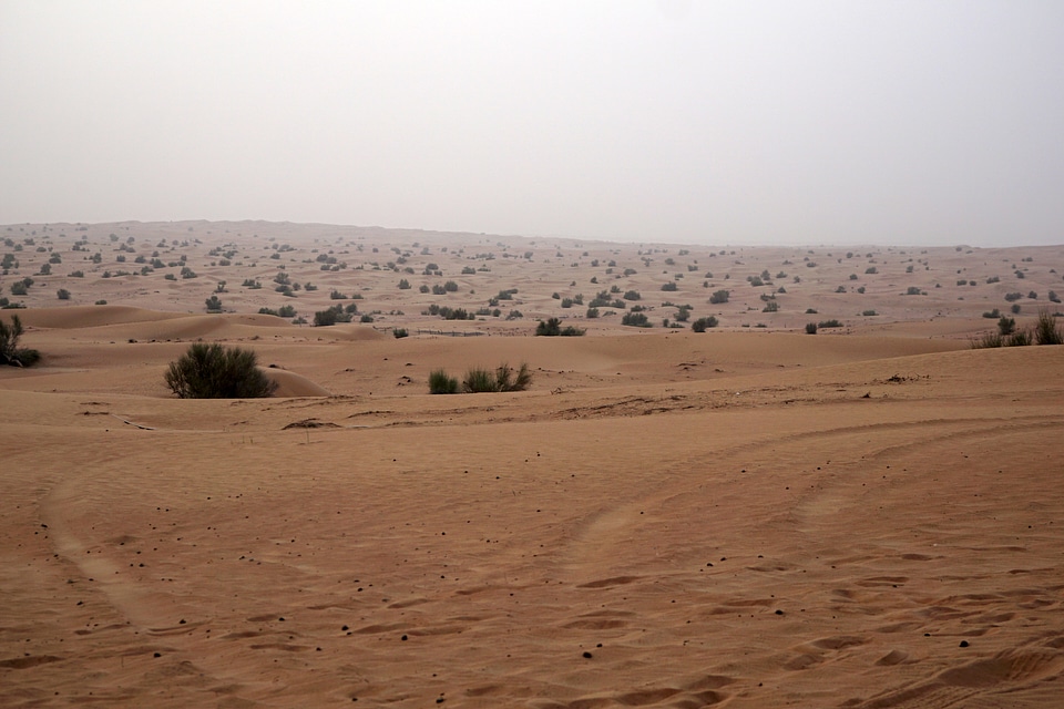 Desert and Sand Landscape 