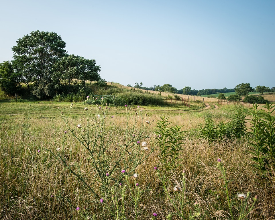 Virginia Landscape under blue sky