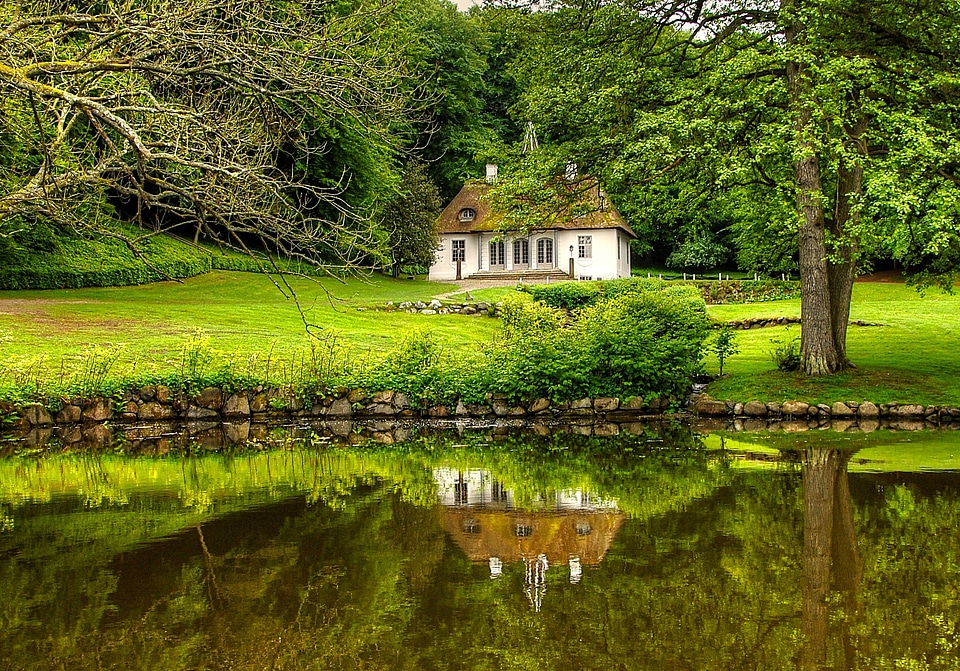 House by the pond in greenery photo