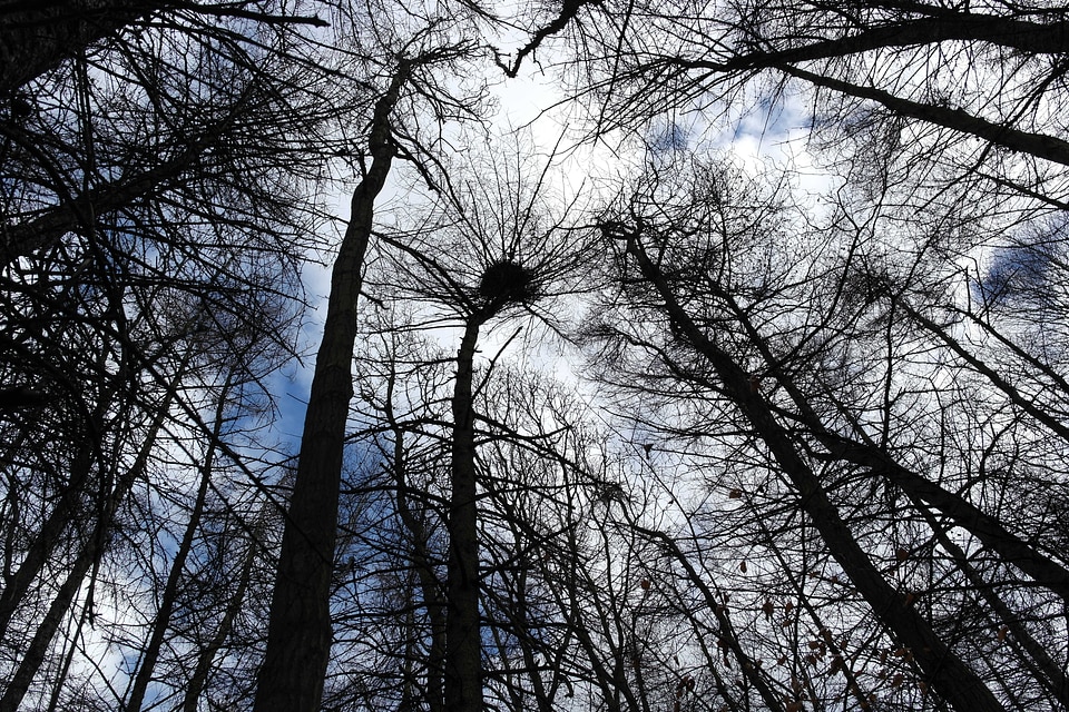 Up tall perspective