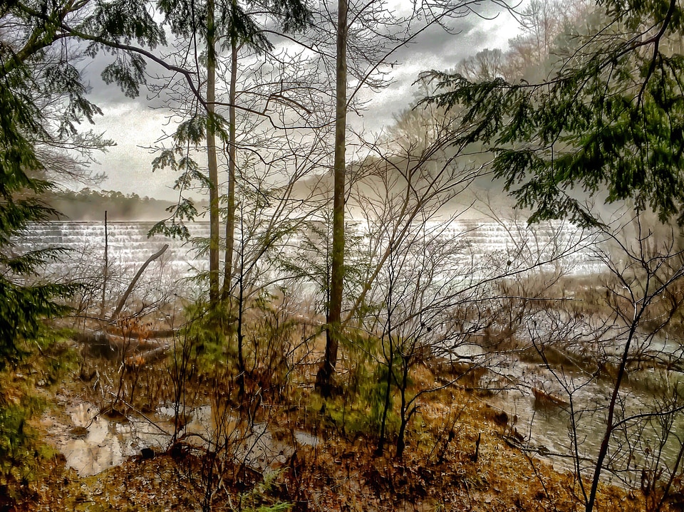 Brushy Lake Dam - Bankhead National Forest painting