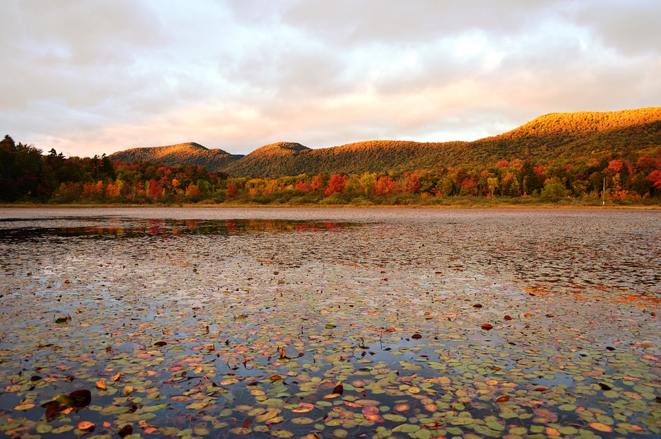 Across the pond view with hills in the landscape