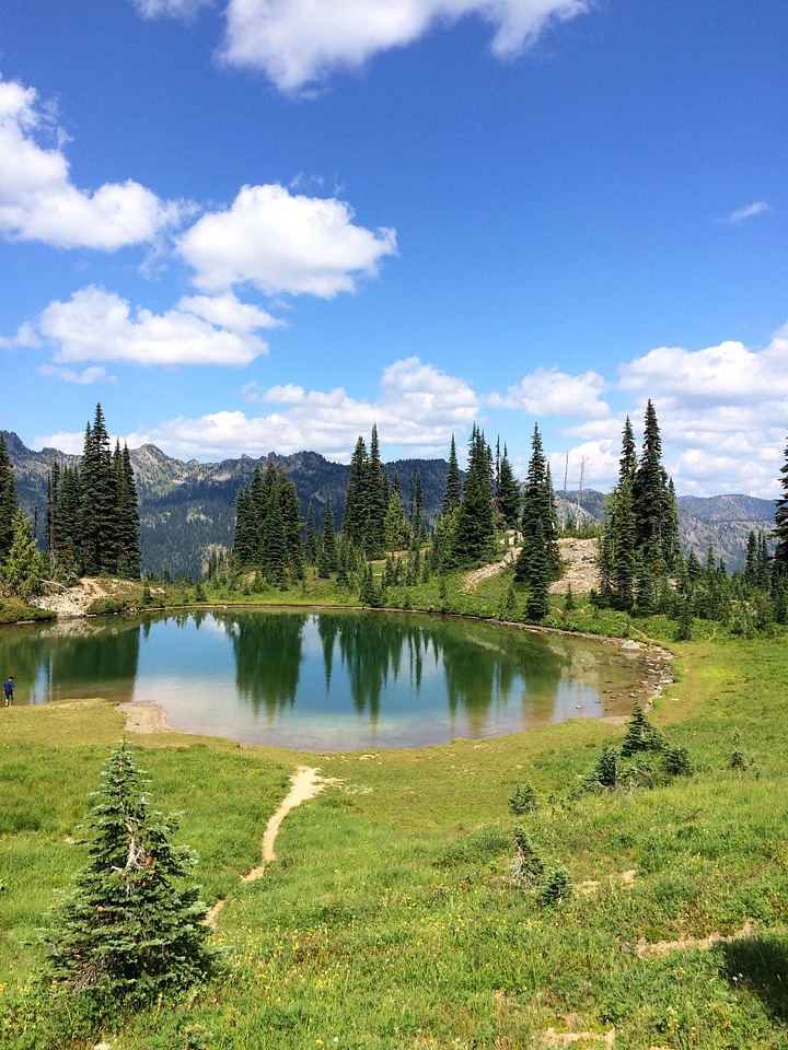 Pond and landscape under blue skies in Mount Rainier National Park, Washington photo