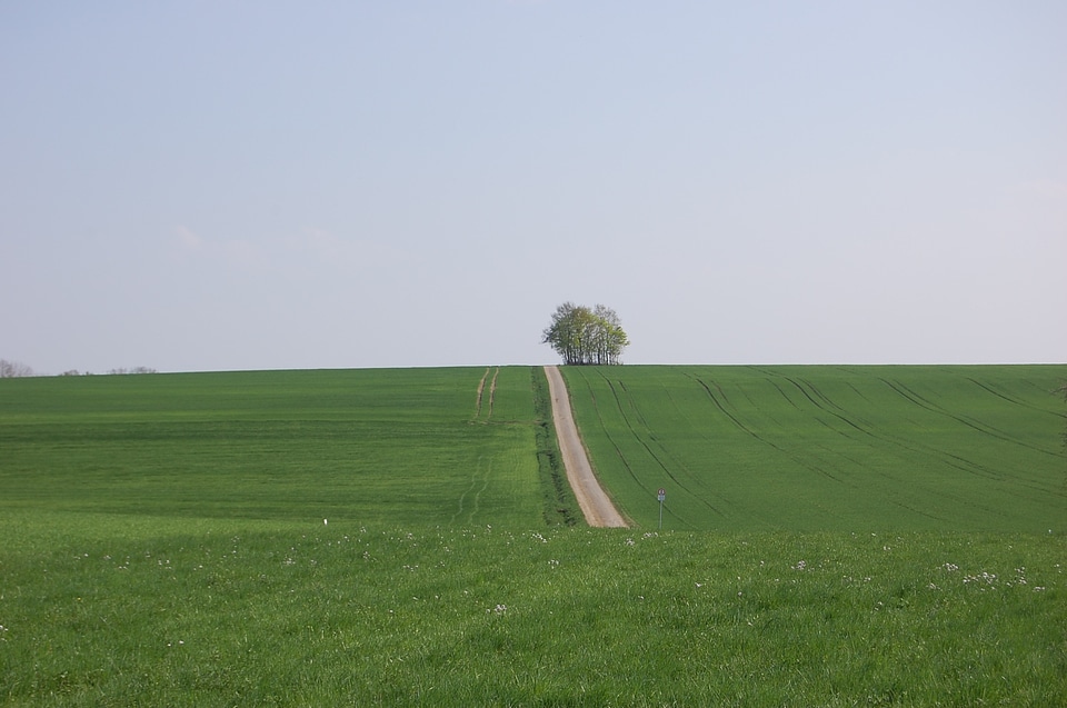 Landscape nature green photo