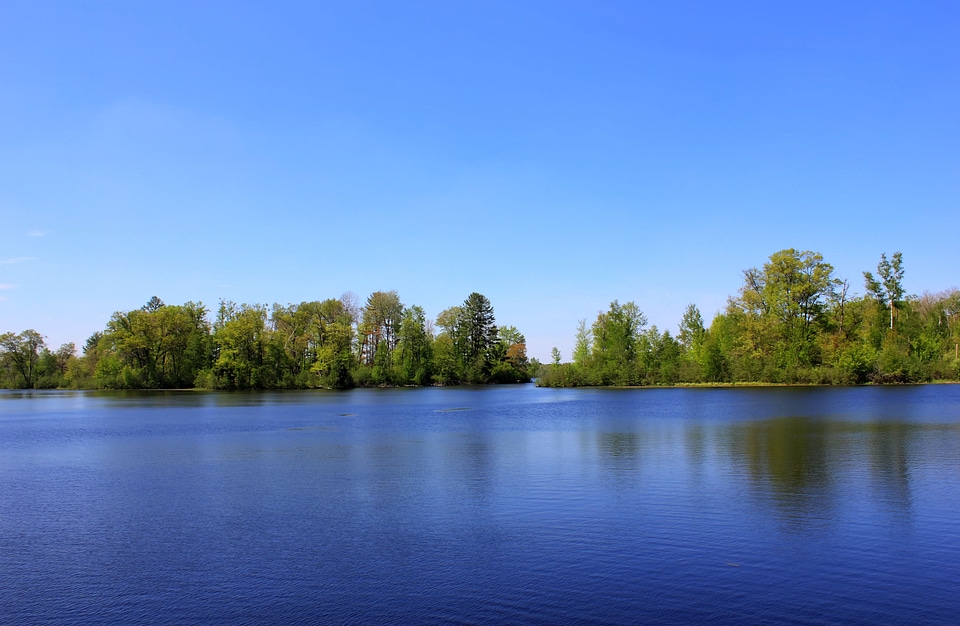 Looking into the Lake at Governor Thompson State Park, Wisconsin