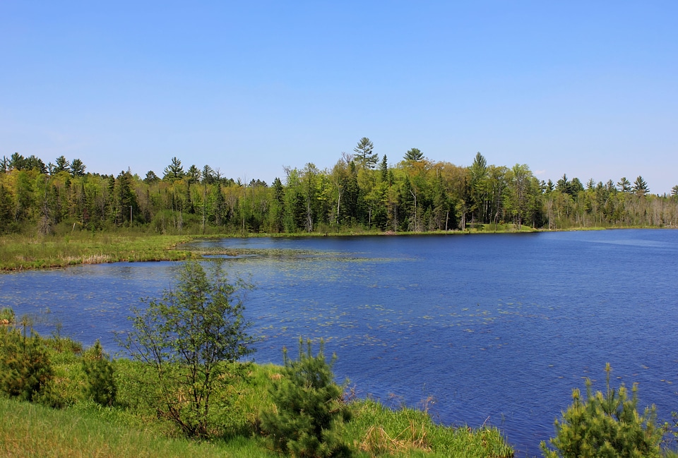 Left Side of Wood Lake at Governor Thompson State Park, Wisconsin