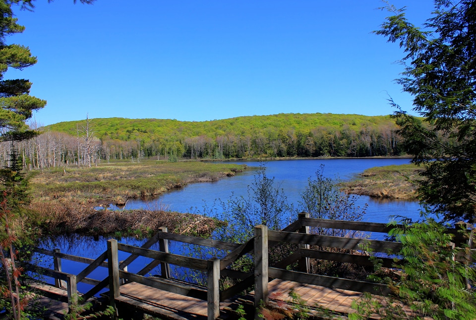 View from the steps at Porcupine Mountains State Park, Michigan