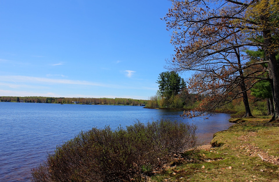 Shoreline of the Lake at Twin Lakes State Park, Michigan