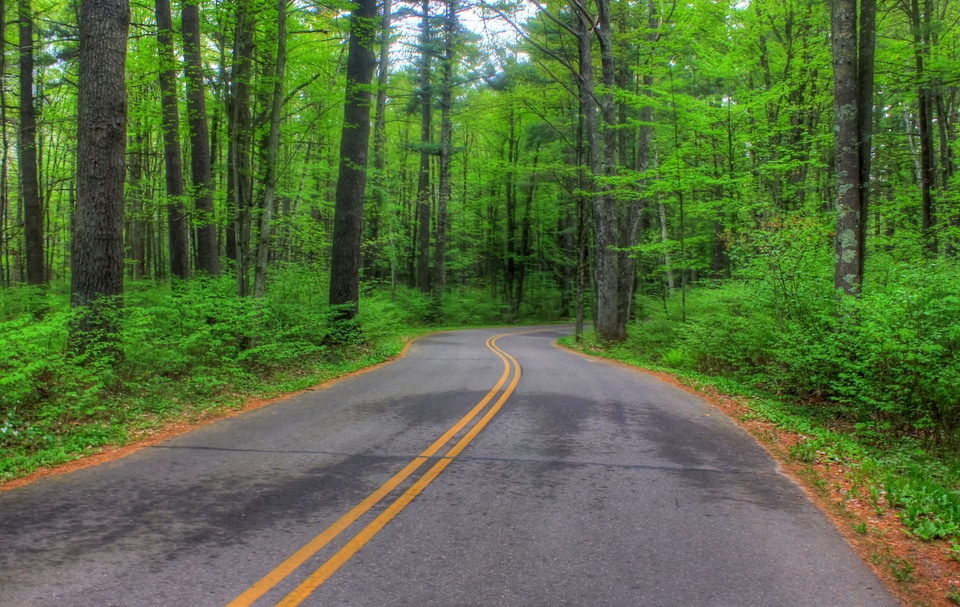 Road to Council Grounds