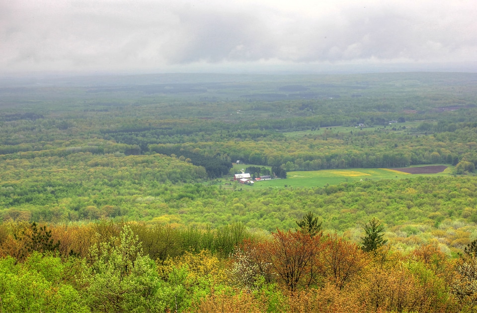 Forest and house at Rib Mountain State Park, Wisconsin