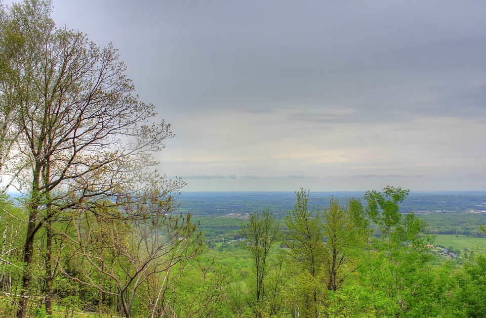 Forest from the top at Rib Mountain State Park, Wisconsin