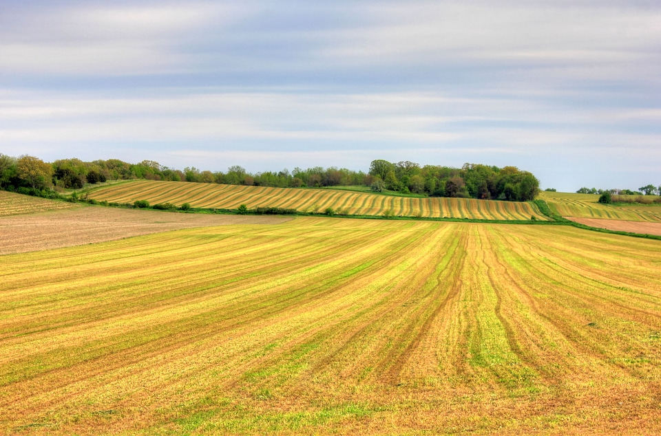 Empty farm to the horizon in Southern Wisconsin