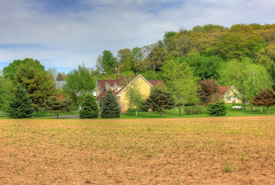 House behind Trees